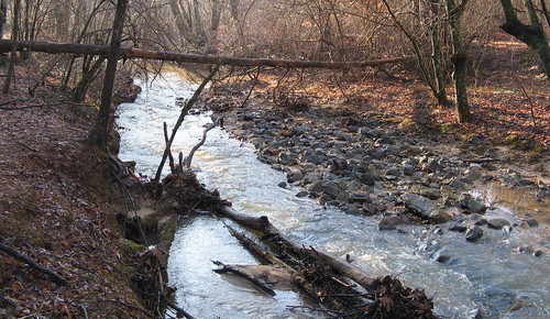 Creek along Section 13