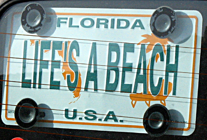 20-2-2010-lifes-a-beach2