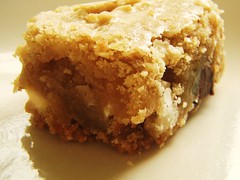 chewy chunky blondies with chocolate chips, coconut, walnuts - 25