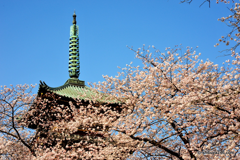 The Five Story Pagoda seen next to Toshogu Shrine.
