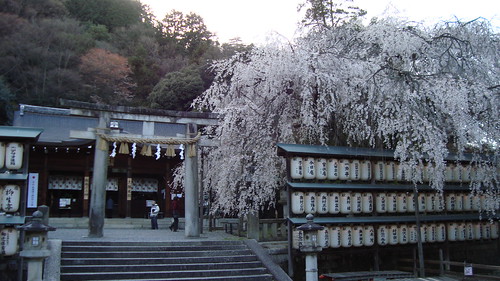 2010/04 大石神社 #02