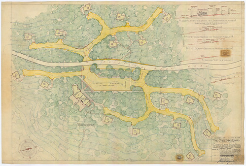 Caddo Lake State Park - Plot Plan for Cabins, Roads, and Parking Areas - SP.40.10