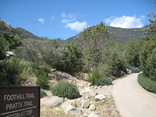 Ojai - Pratte Trail
