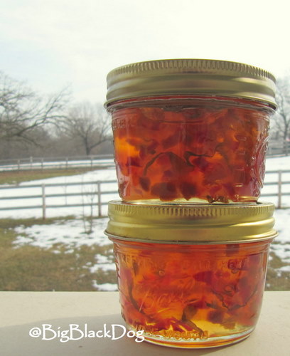 Recipes for preserving hot peppers