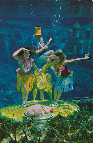 Underwater Dream Girls - Weeki Wachee, Florida