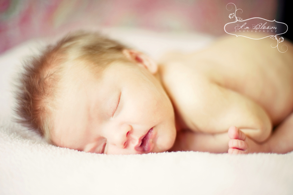 Selah's Newborn Portraits-228