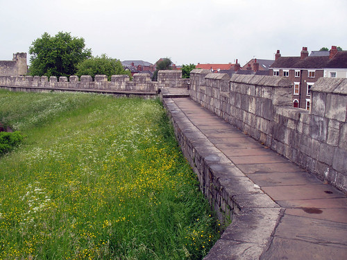 Wall Walk