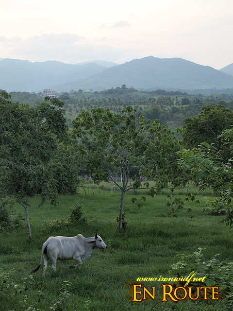 Mitra's Ranch View