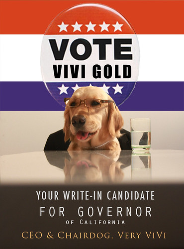 Miss ViVi Gold Announces Her Candidacy for Governor of California