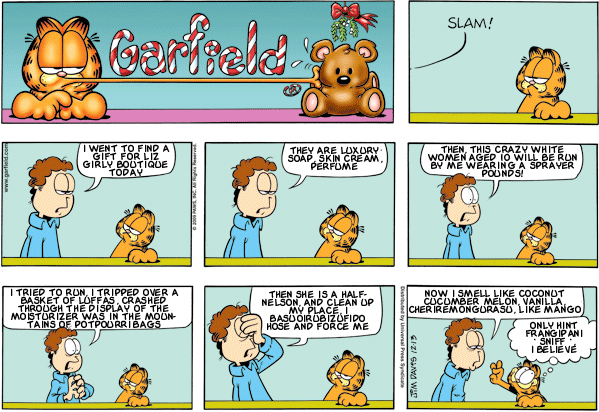 Garfield: Lost in Translation, December 13, 2009