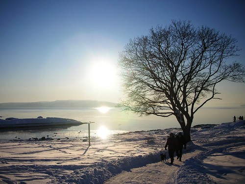 The Magic of extreme cold and snow at Oslo Fjord #11