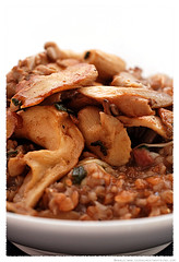 Farro Risotto with Mushrooms© by Haalo