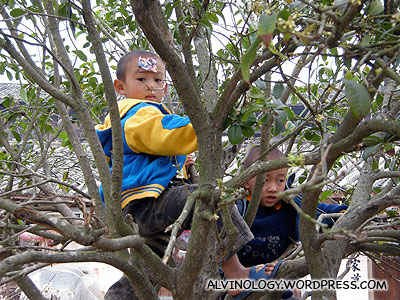 Two kids hiding on the trees