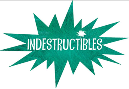 Indestructiblesbloglogo2