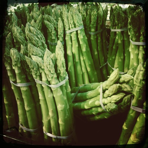 Forest Of Asparagus