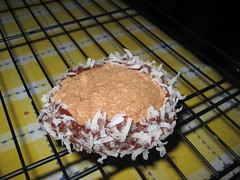chocolate mint coconut cookie sandwich