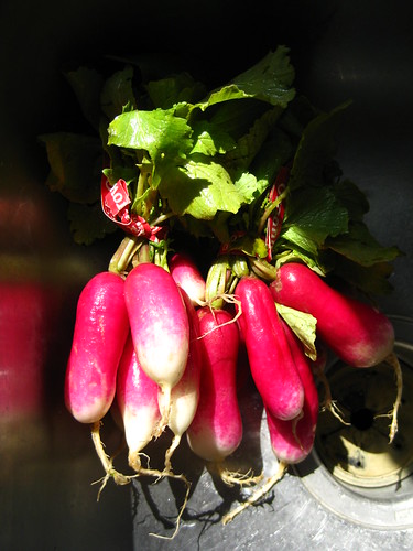 French breakfast radishes