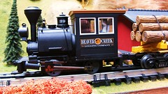 Lionel Porter narrow guage 0-4-0T locomotive and logging train. Berwyn's Toy Trains and Models Hobby Shop. Berwyn Illinois. May  2010.