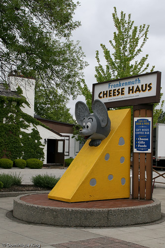 Frankenmuth Cheese Haus-10