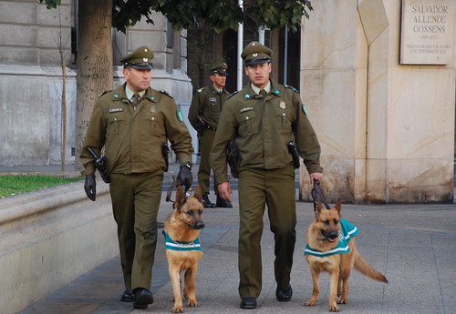 pacos y sus perros/cops and dogs