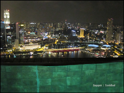 2010-10-31 新加坡  (185)Singapore_23