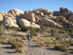 Rachel Hiking to Calico Tanks, Red Rocks