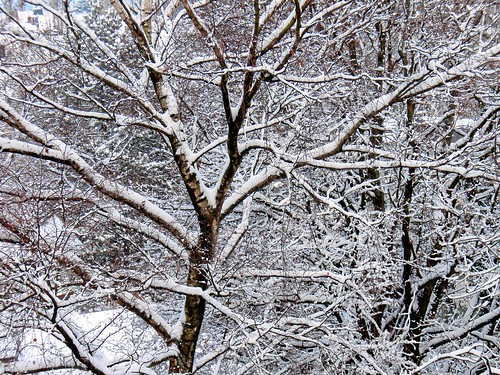 Schnee im Januar 2010 in Wuppertal