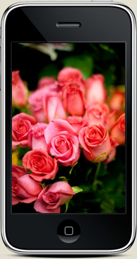 free iphone wallpaper valentines day love