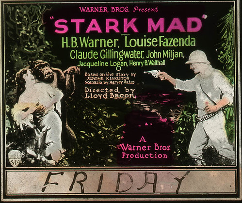 STARK MAD (1929) slide lit detail
