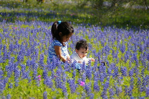 My girls in the bluebonnets, pt 2