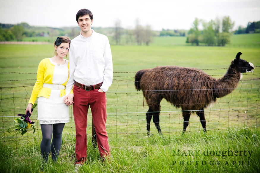 esession with the alpaca