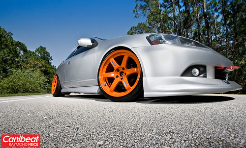 Canibeat RSX 2