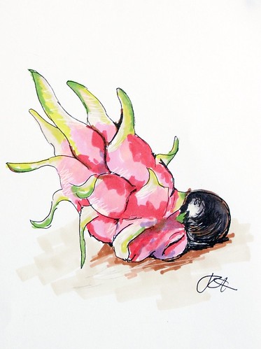 Crouching Squashball Hidden Dragonfruit: illustration