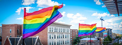 2017.07.02 Rainbow and US Flags Flying Washington, DC USA 6846