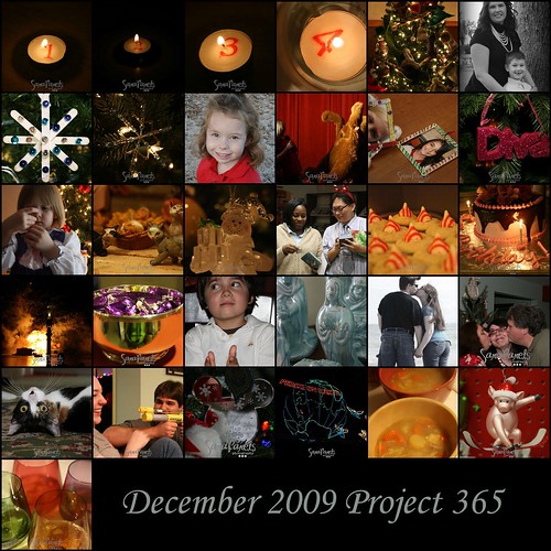 Dec 09 Project 365 Mosaic-1