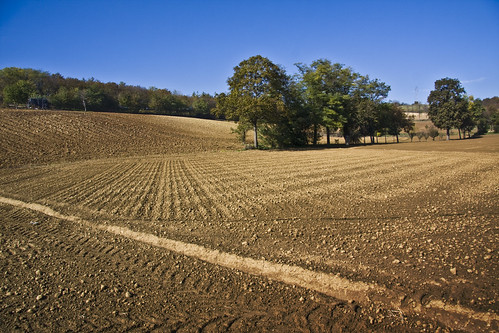 Plowed Fields #3