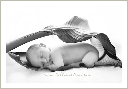 prop ideas for baby pictures. Newborn prop ideas. A gallery curated by hummingbirds1 | 4 photos | 49 views