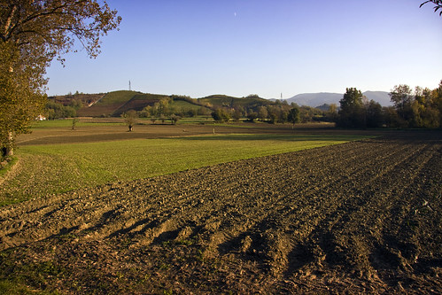 Monferrato Fields