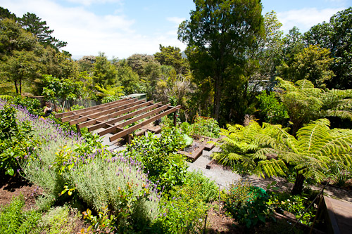 G and G's garden, Auckland, New Zealand