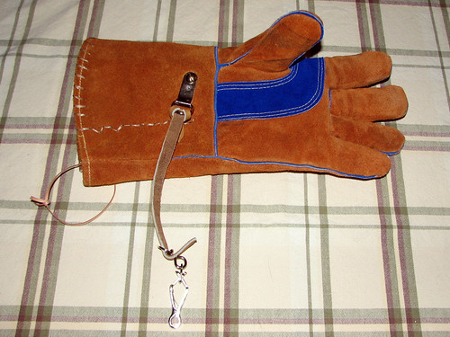 Falconry glove