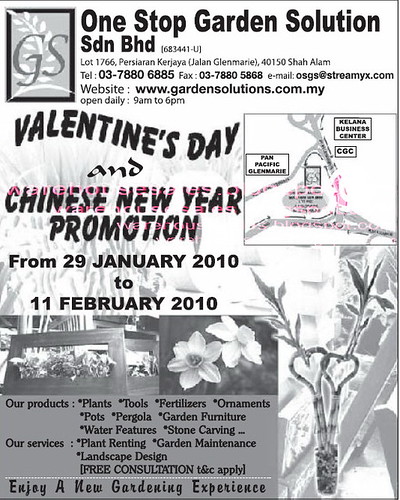 29 Jan - 11 Feb: Valentines Day and CNY Promotion
