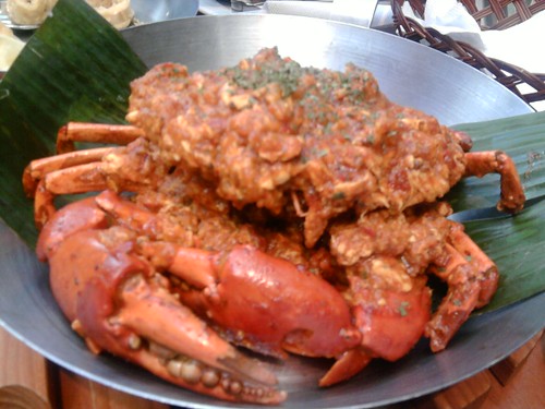 The Chilli Crab