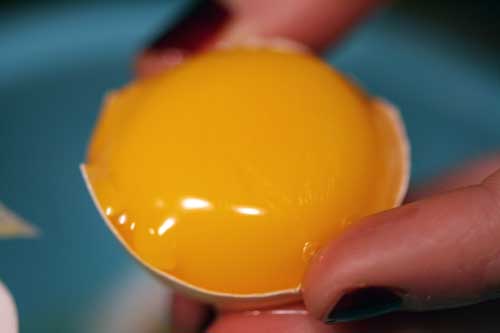 egg separation