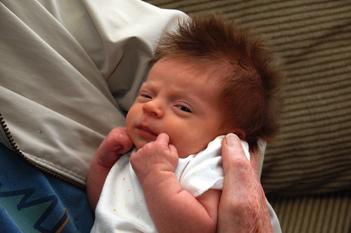 2 weeks old, post bath Kevin Bacon hair