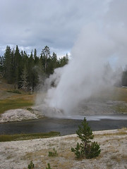 I was hoping to catch a bit of a rainbow.  There was a faint rainbow, but nothing very satisfying.  Riverside Geyser.