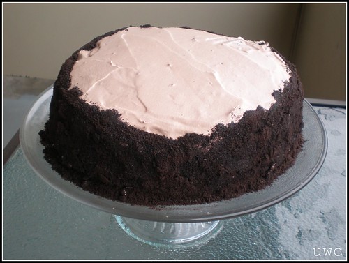 Ovarian Chocolate Cake