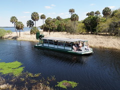 Airboat approaching boat basin