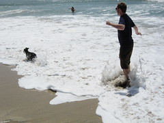 Tim & Truman Get Splashed at the Dog Beach. (03/27/2010)