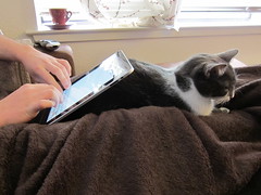 Woman using her cat as an iPad Stand