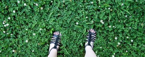 my feet in clover-filled yard